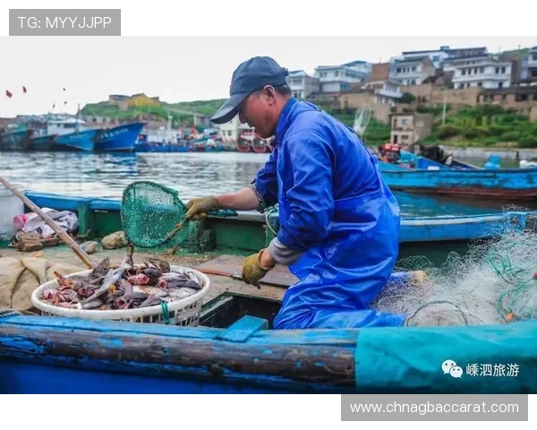 PA捕鱼网站新手入门指南，零基础玩家也能快速上手掌握捕鱼技巧