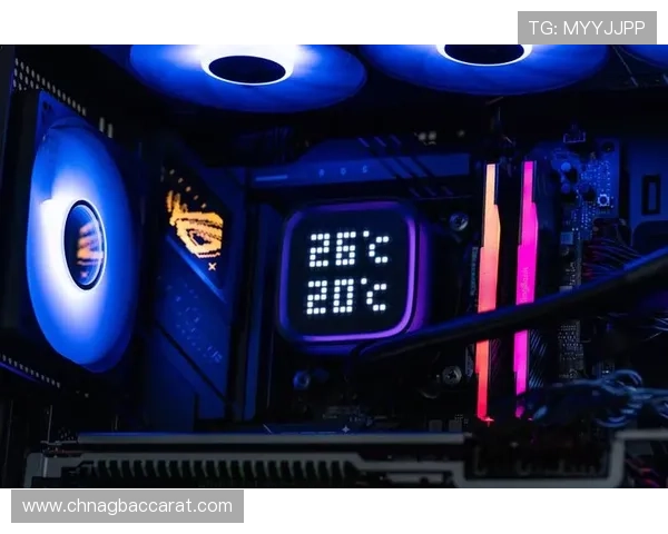 WM视讯多样化的游戏品类满足不同玩家的个性化需求,全面提升您的线上娱乐体验